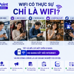 WiPoint – Không chỉ là WiFi, mà là nền tảng chuyển đổi trải nghiệm khách hàng và dữ liệu doanh nghiệp